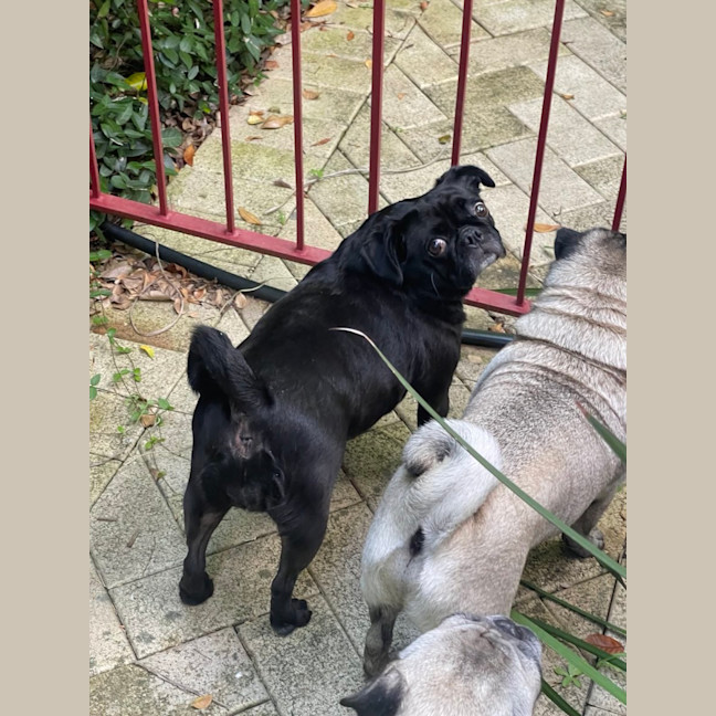 Photo of Audrey 🌱