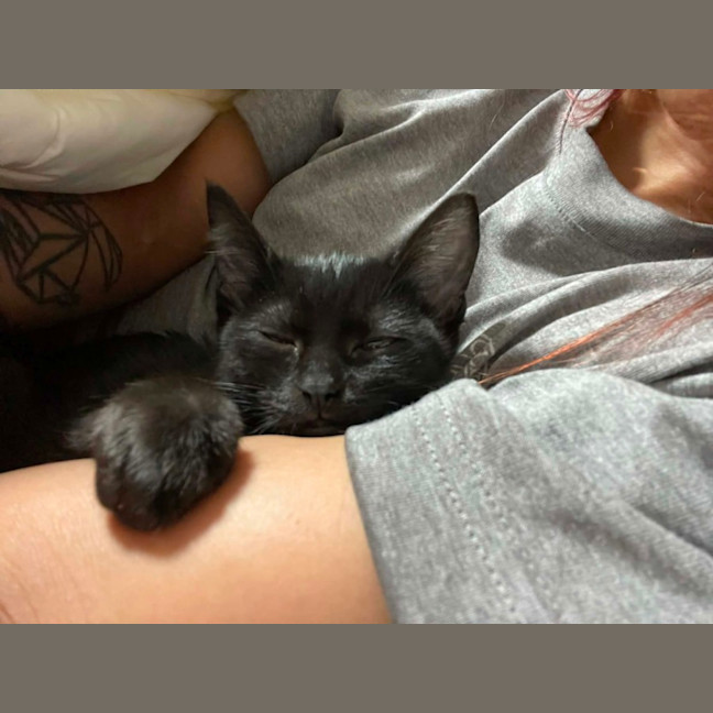 Photo of Secret Agent Friday