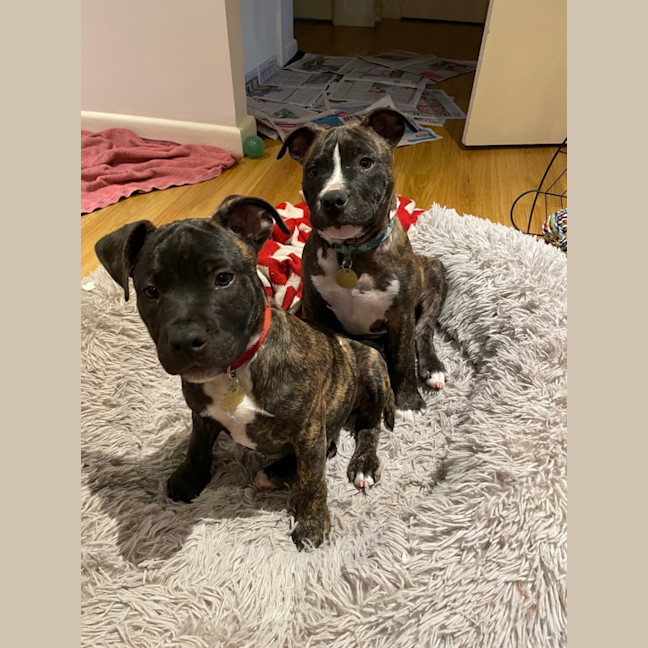 Photo of Aston Martin