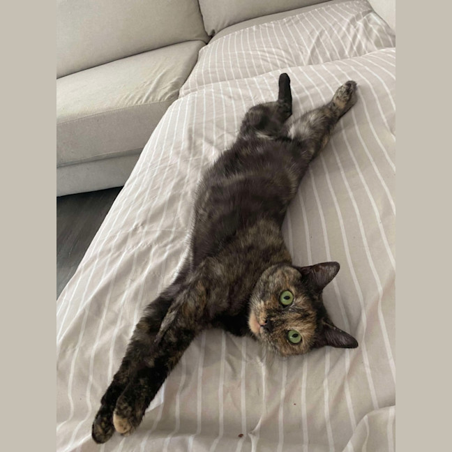 Photo of Olive 🫒 🩷