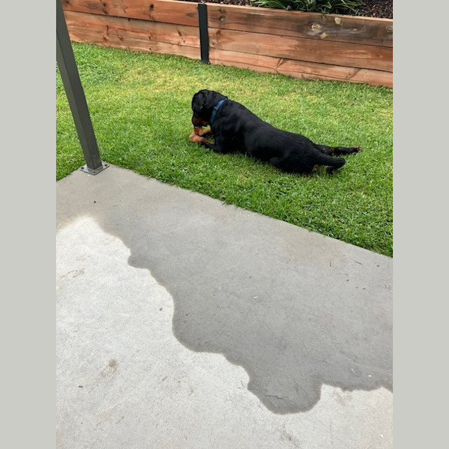 Photo of Zeus