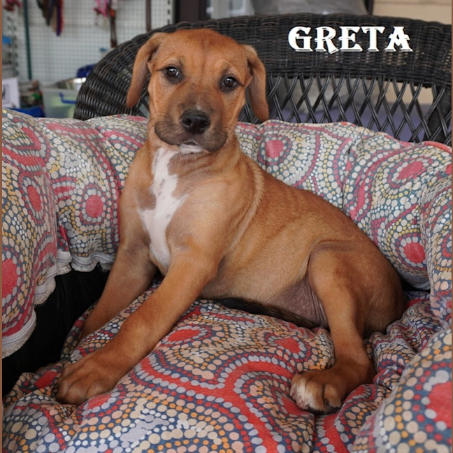 Photo of Greta