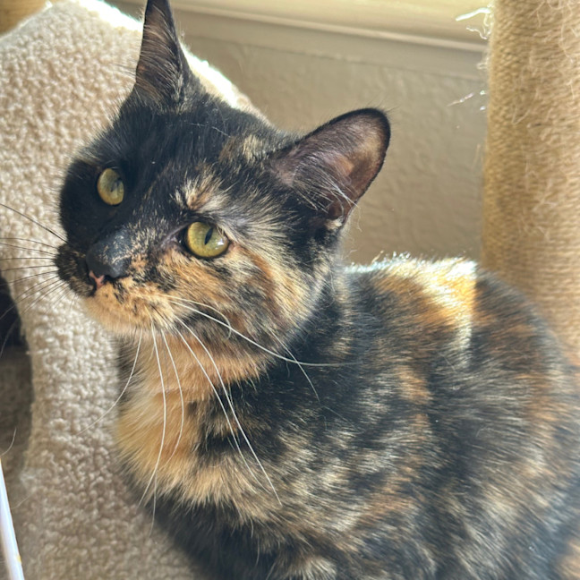 Photo of Heidi