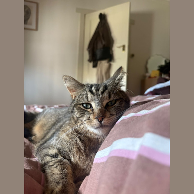 Photo of Peggy
