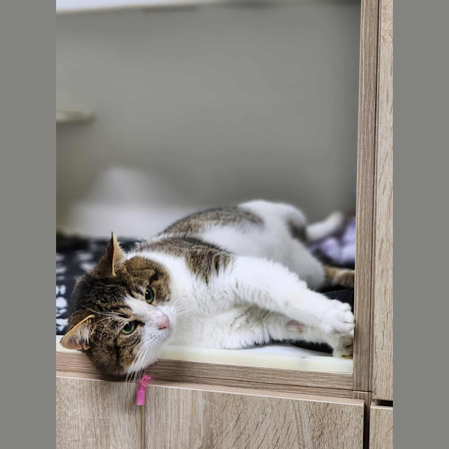 Photo of 🎣 Rafferty 6254 🎣