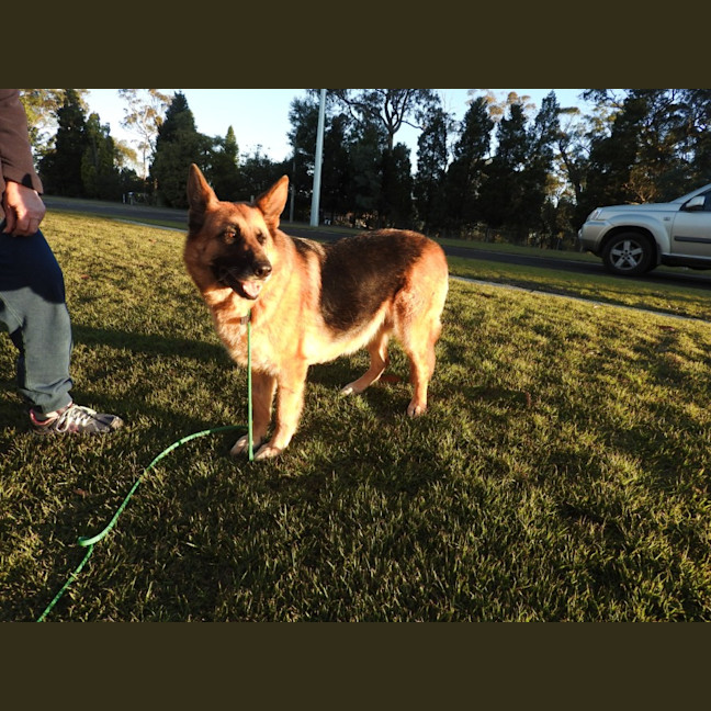 Photo of Molly