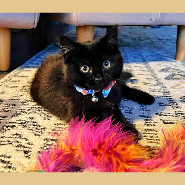 Photo of 💨Alcatraz💨