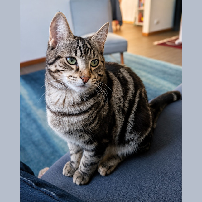Photo of Stout