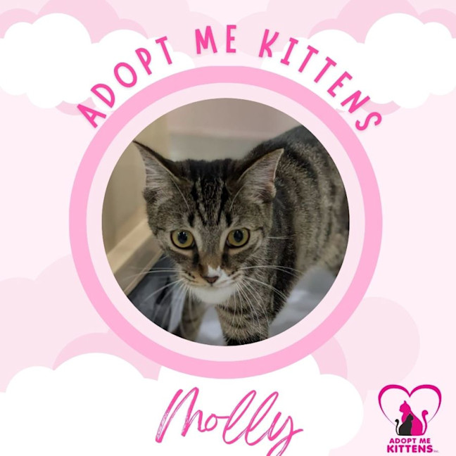 Photo of Molly 2