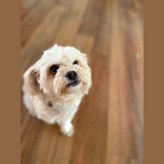 Photo of Narla