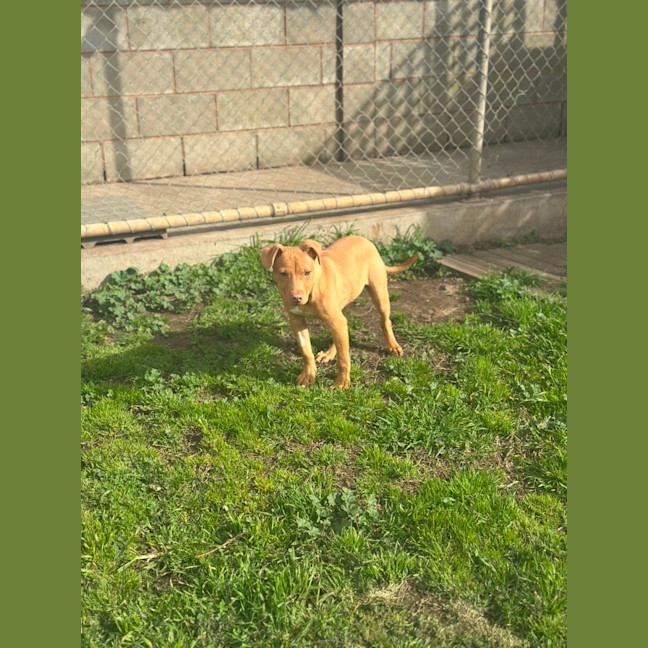 Photo of Benny