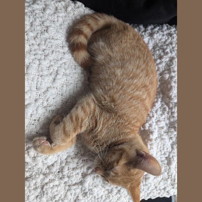 Photo of Flame