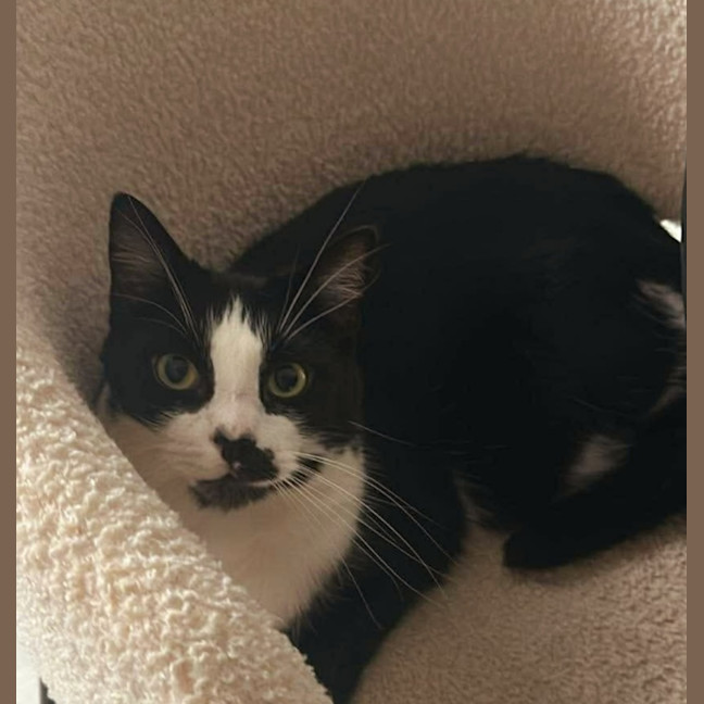 Photo of Theodore 