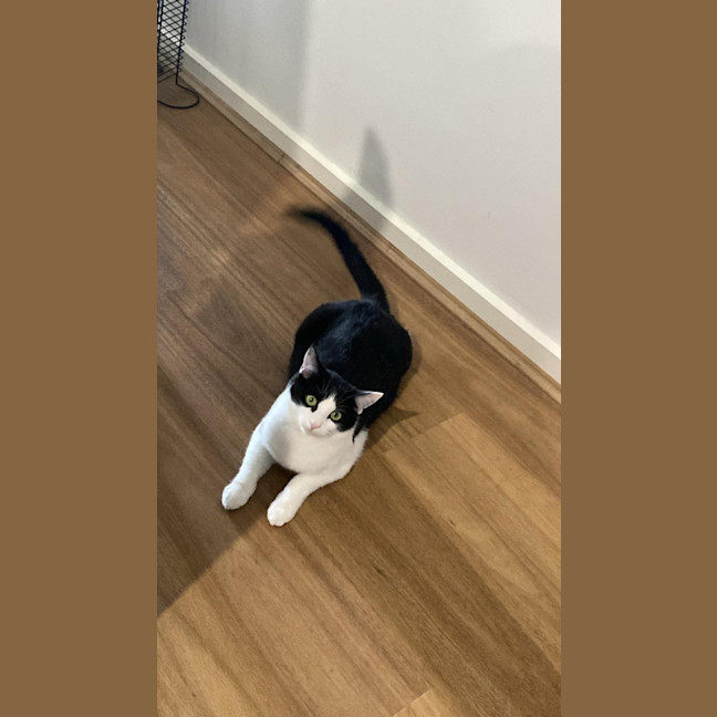 Photo of Lucy 