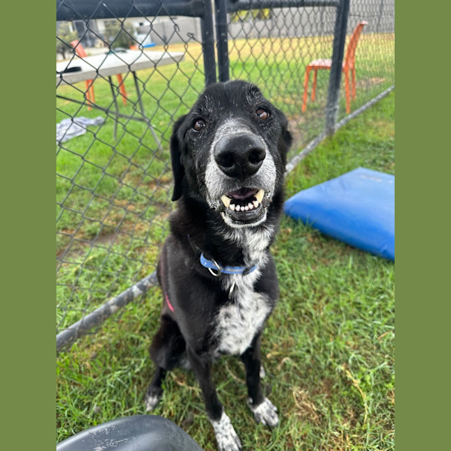 Photo of Turbo