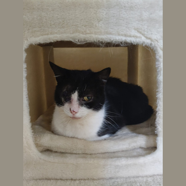 Photo of Lucky