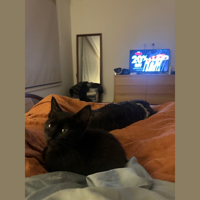 Photo of Oliver