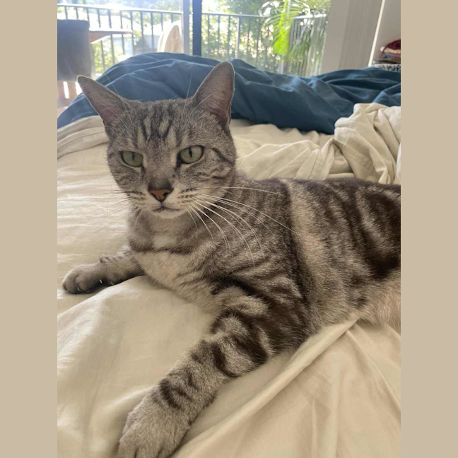 Photo of Missy
