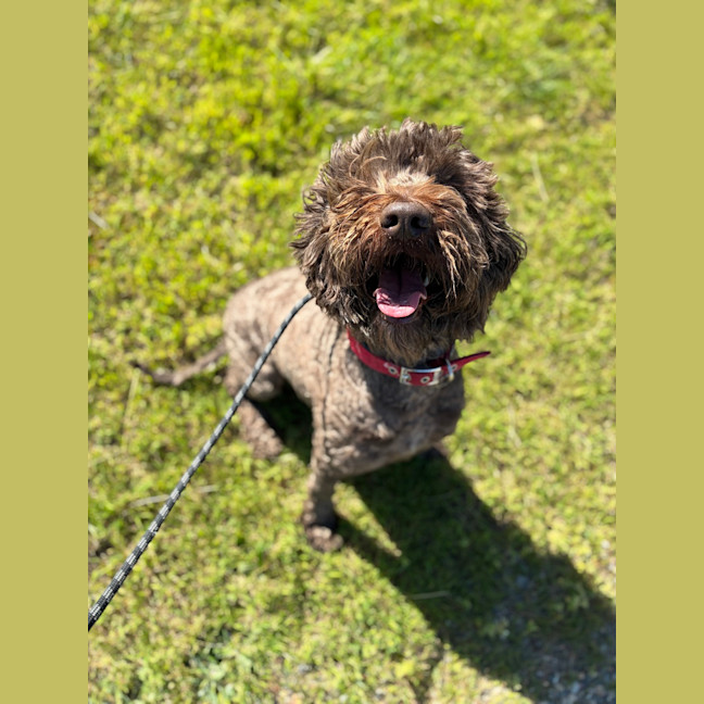 Photo of Rocket