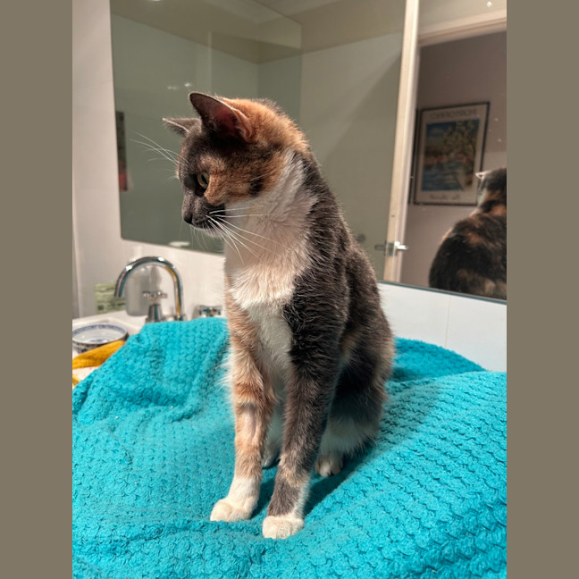 Photo of Lois