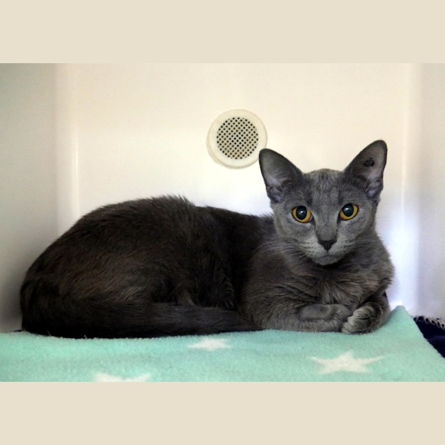 Photo of Tilly Sta013166