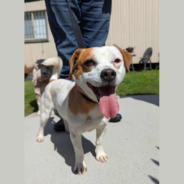 Photo of Rosie & Athos