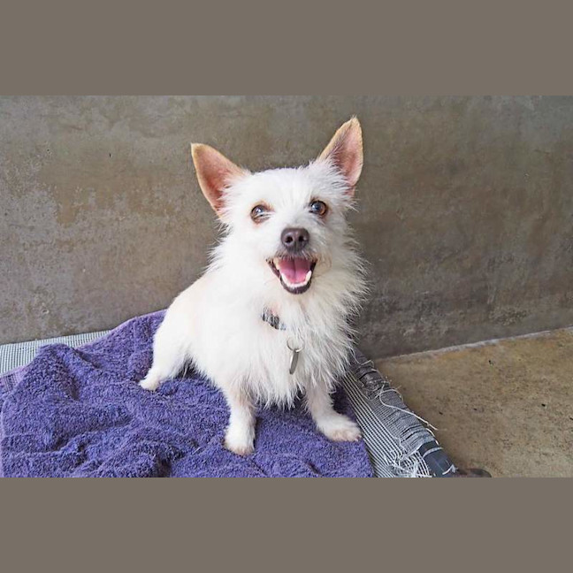 Photo of Winston