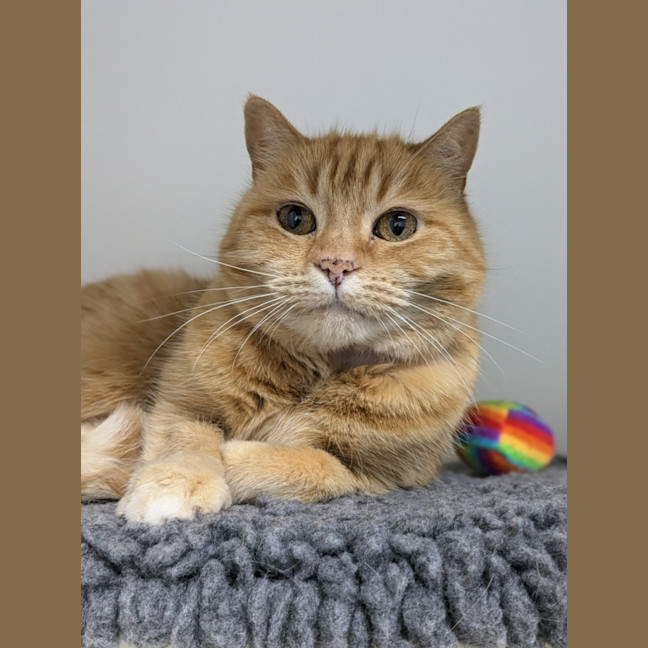 Photo of 🍓 Audrey 5452 🍓