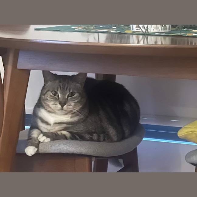 Photo of Sadie