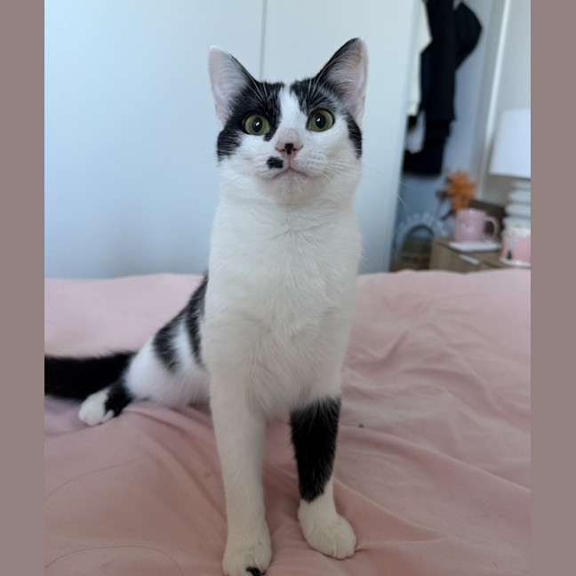 Photo of Rocket Scott