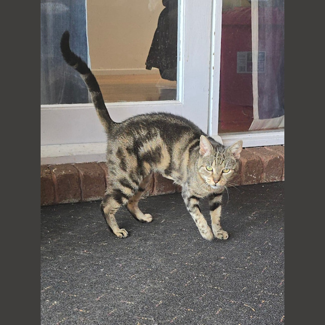 Photo of $100 Xena