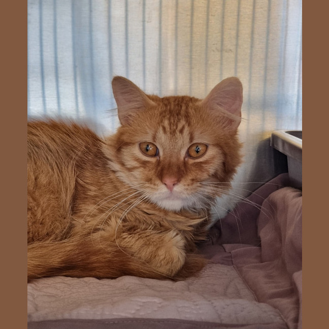 Photo of Charlie