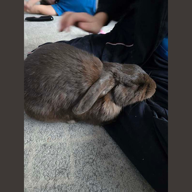 Photo of Sunny