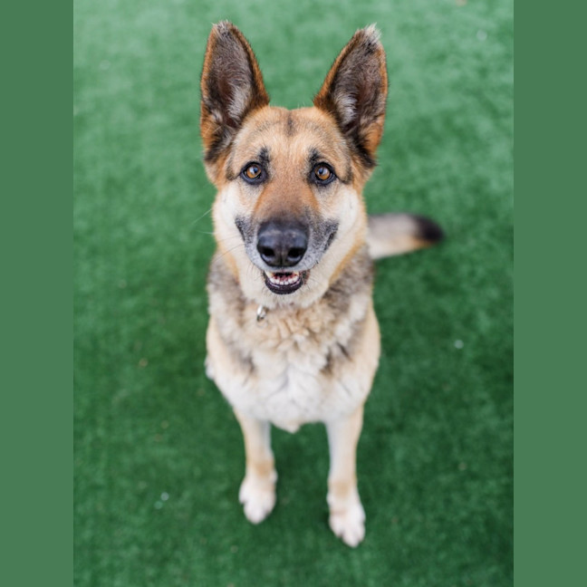 Photo of Maya