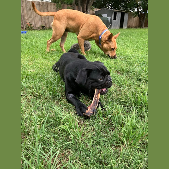 Photo of Milton 💗