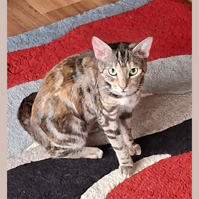 Photo of Tina