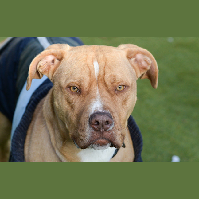 Photo of Barry