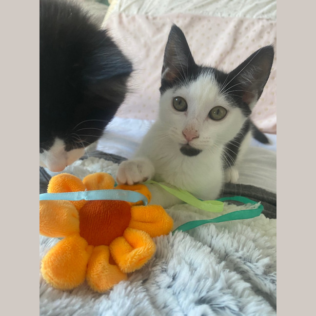 Photo of Zeb Sanderson