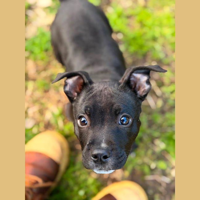 Photo of Tinka