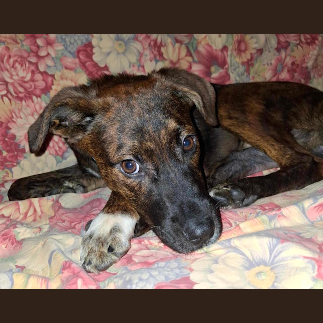 Photo of Georgie Girl