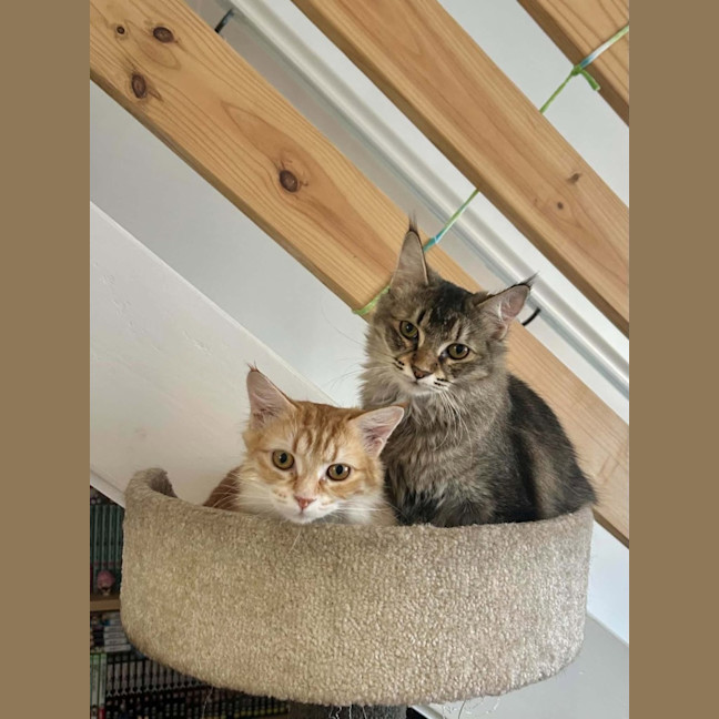 Photo of Rosetta And Ottilie 