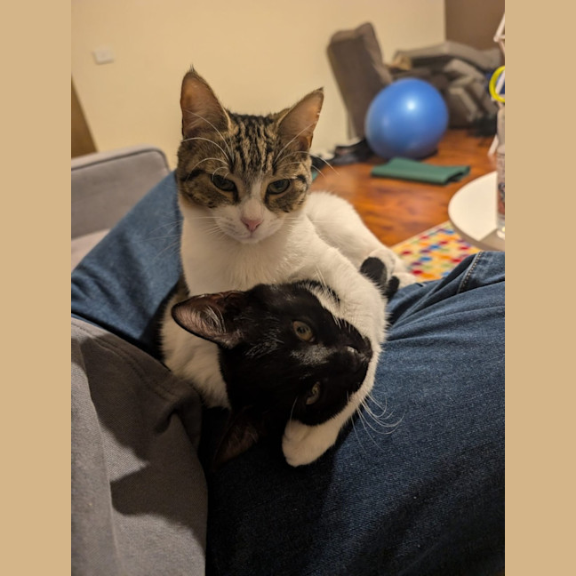 Photo of Honey & Rory 🥰