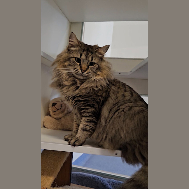 Photo of Leon