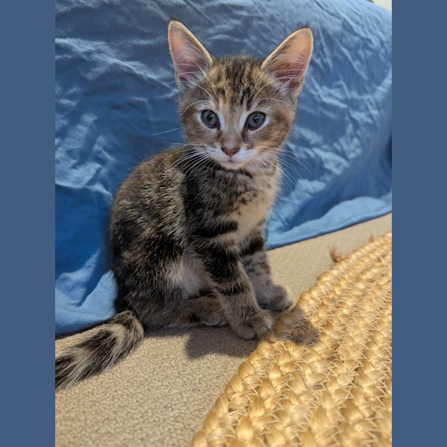 Photo of Blanche Golden