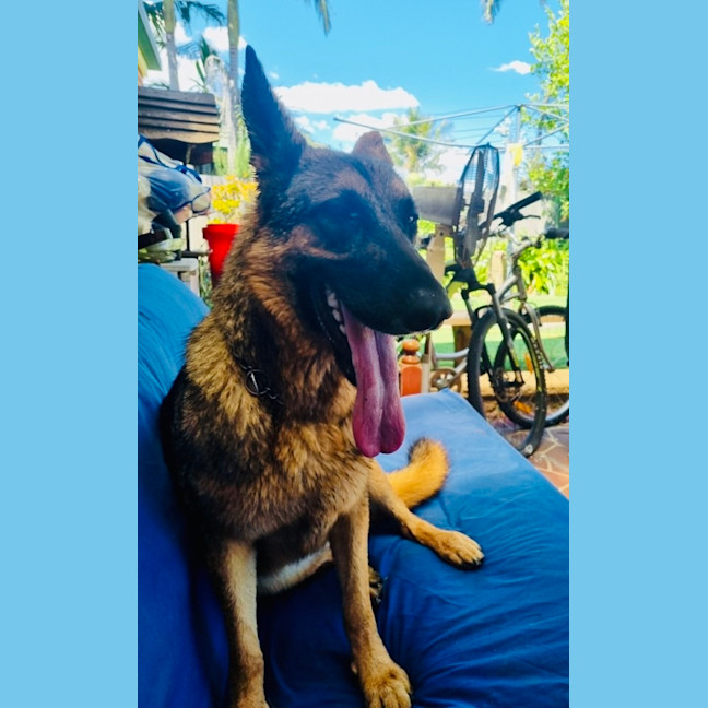 Photo of Mia