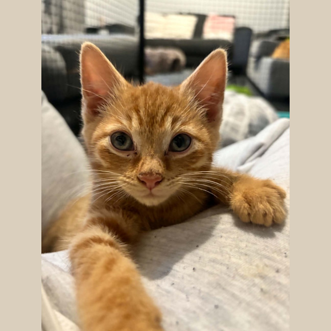 Photo of Jerry   Meet Me 10/10 Info In Bio