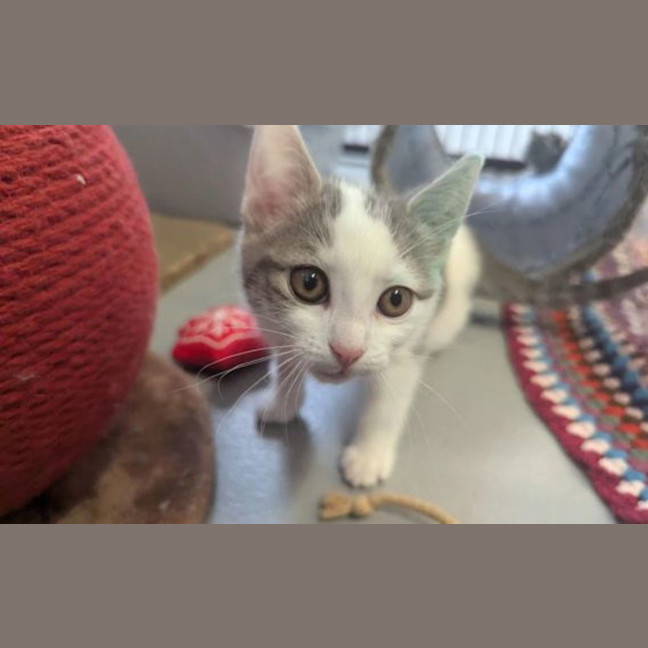 Photo of Kiki