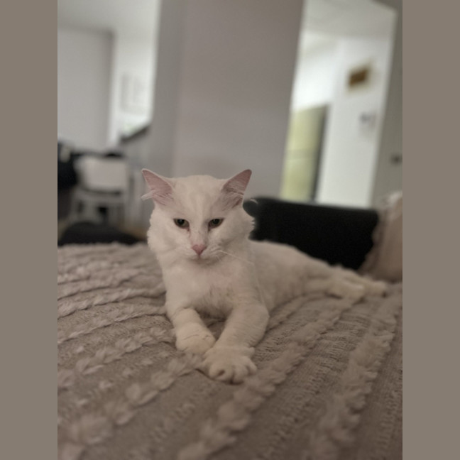 Photo of Westley White