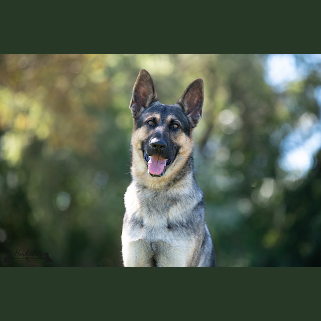 Photo of Storm