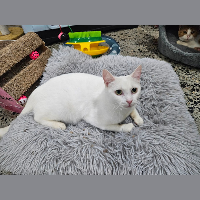 Photo of Rinnie